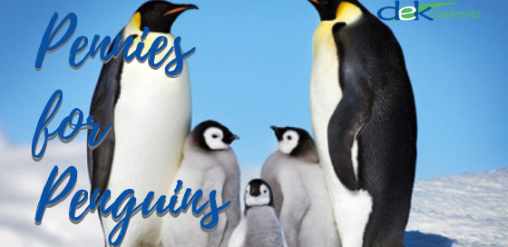 Pennies for Penguins | DEK Leadership