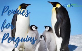 Pennies for Penguins | DEK Leadership